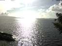 ./images/koeye/fitz-hugh/20200828/fitz-hugh20200828_170501.jpg