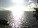 ./images/koeye/fitz-hugh/20200828/fitz-hugh20200828_171501.jpg