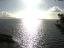 ./images/koeye/fitz-hugh/20200828/fitz-hugh20200828_172001.jpg