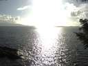 ./images/koeye/fitz-hugh/20200828/fitz-hugh20200828_173501.jpg