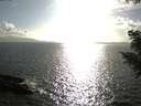 ./images/koeye/fitz-hugh/20200828/fitz-hugh20200828_174501.jpg