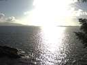 ./images/koeye/fitz-hugh/20200828/fitz-hugh20200828_175001.jpg