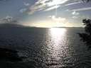 ./images/koeye/fitz-hugh/20200828/fitz-hugh20200828_175501.jpg