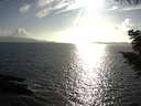 ./images/koeye/fitz-hugh/20200828/fitz-hugh20200828_180001.jpg