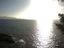 ./images/koeye/fitz-hugh/20200828/fitz-hugh20200828_181501.jpg