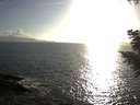 ./images/koeye/fitz-hugh/20200828/fitz-hugh20200828_182501.jpg