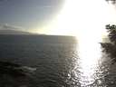 ./images/koeye/fitz-hugh/20200828/fitz-hugh20200828_183501.jpg