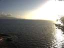 ./images/koeye/fitz-hugh/20200828/fitz-hugh20200828_192502.jpg