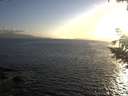 ./images/koeye/fitz-hugh/20200828/fitz-hugh20200828_194002.jpg