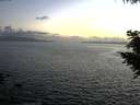 ./images/koeye/fitz-hugh/20200828/fitz-hugh20200828_203501.jpg