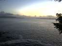 ./images/koeye/fitz-hugh/20200828/fitz-hugh20200828_205501.jpg