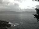 ./images/koeye/fitz-hugh/20200829/fitz-hugh20200829_060002.jpg