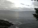 ./images/koeye/fitz-hugh/20200829/fitz-hugh20200829_060502.jpg