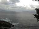 ./images/koeye/fitz-hugh/20200829/fitz-hugh20200829_062502.jpg