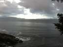 ./images/koeye/fitz-hugh/20200829/fitz-hugh20200829_065502.jpg