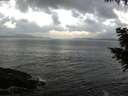 ./images/koeye/fitz-hugh/20200829/fitz-hugh20200829_070502.jpg
