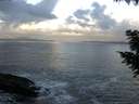 ./images/koeye/fitz-hugh/20200829/fitz-hugh20200829_072502.jpg