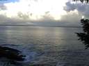 ./images/koeye/fitz-hugh/20200829/fitz-hugh20200829_073501.jpg