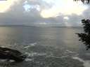 ./images/koeye/fitz-hugh/20200829/fitz-hugh20200829_075501.jpg