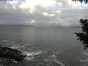 ./images/koeye/fitz-hugh/20200829/fitz-hugh20200829_080001.jpg