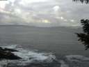 ./images/koeye/fitz-hugh/20200829/fitz-hugh20200829_081001.jpg
