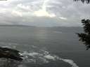 ./images/koeye/fitz-hugh/20200829/fitz-hugh20200829_081501.jpg