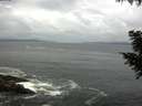 ./images/koeye/fitz-hugh/20200829/fitz-hugh20200829_082501.jpg