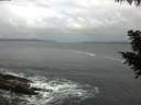 ./images/koeye/fitz-hugh/20200829/fitz-hugh20200829_083501.jpg