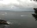 ./images/koeye/fitz-hugh/20200829/fitz-hugh20200829_084501.jpg