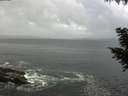 ./images/koeye/fitz-hugh/20200829/fitz-hugh20200829_090501.jpg