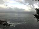 ./images/koeye/fitz-hugh/20200829/fitz-hugh20200829_091501.jpg