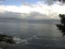 ./images/koeye/fitz-hugh/20200829/fitz-hugh20200829_092002.jpg