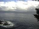 ./images/koeye/fitz-hugh/20200829/fitz-hugh20200829_092501.jpg