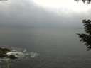 ./images/koeye/fitz-hugh/20200829/fitz-hugh20200829_095502.jpg