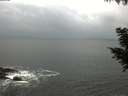 ./images/koeye/fitz-hugh/20200829/fitz-hugh20200829_100002.jpg