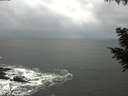 ./images/koeye/fitz-hugh/20200829/fitz-hugh20200829_100502.jpg
