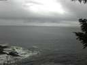./images/koeye/fitz-hugh/20200829/fitz-hugh20200829_101502.jpg