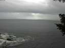 ./images/koeye/fitz-hugh/20200829/fitz-hugh20200829_102002.jpg