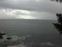 ./images/koeye/fitz-hugh/20200829/fitz-hugh20200829_102501.jpg