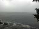 ./images/koeye/fitz-hugh/20200829/fitz-hugh20200829_104001.jpg