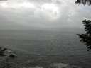 ./images/koeye/fitz-hugh/20200829/fitz-hugh20200829_110501.jpg