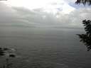 ./images/koeye/fitz-hugh/20200829/fitz-hugh20200829_111501.jpg