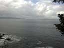 ./images/koeye/fitz-hugh/20200829/fitz-hugh20200829_112001.jpg