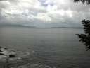 ./images/koeye/fitz-hugh/20200829/fitz-hugh20200829_123502.jpg