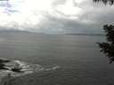 ./images/koeye/fitz-hugh/20200829/fitz-hugh20200829_124502.jpg