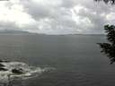 ./images/koeye/fitz-hugh/20200829/fitz-hugh20200829_130502.jpg