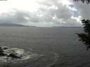 ./images/koeye/fitz-hugh/20200829/fitz-hugh20200829_133501.jpg
