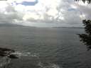./images/koeye/fitz-hugh/20200829/fitz-hugh20200829_134501.jpg