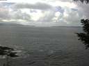 ./images/koeye/fitz-hugh/20200829/fitz-hugh20200829_135001.jpg