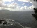 ./images/koeye/fitz-hugh/20200829/fitz-hugh20200829_140501.jpg